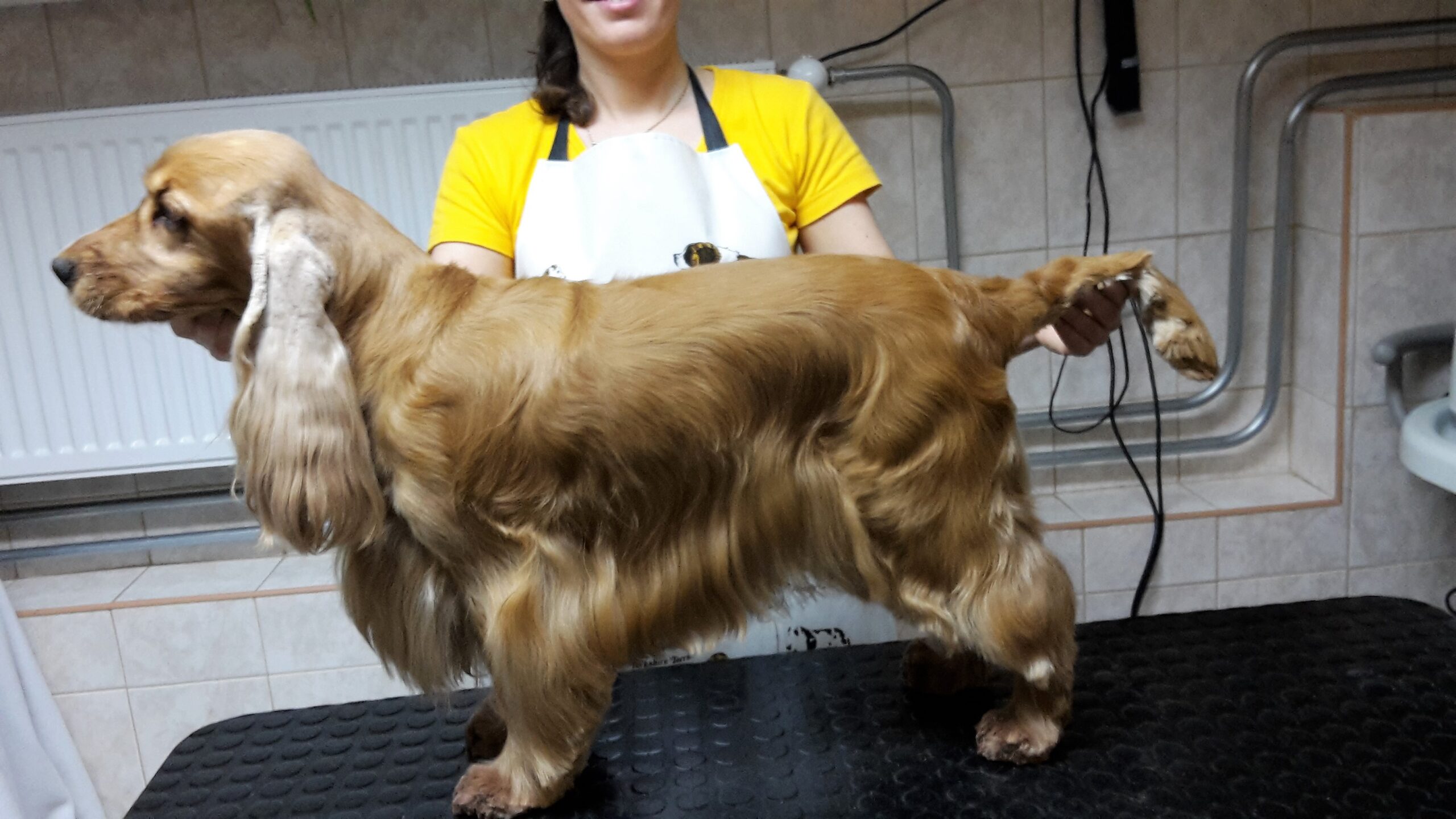 20160220_121325-scaled.jpg